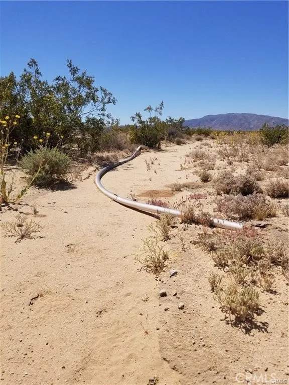 78751 Amboy - Photo 1