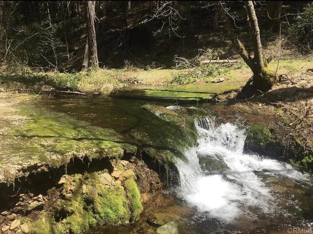 4952 Sierra Springs Drive - Photo 1