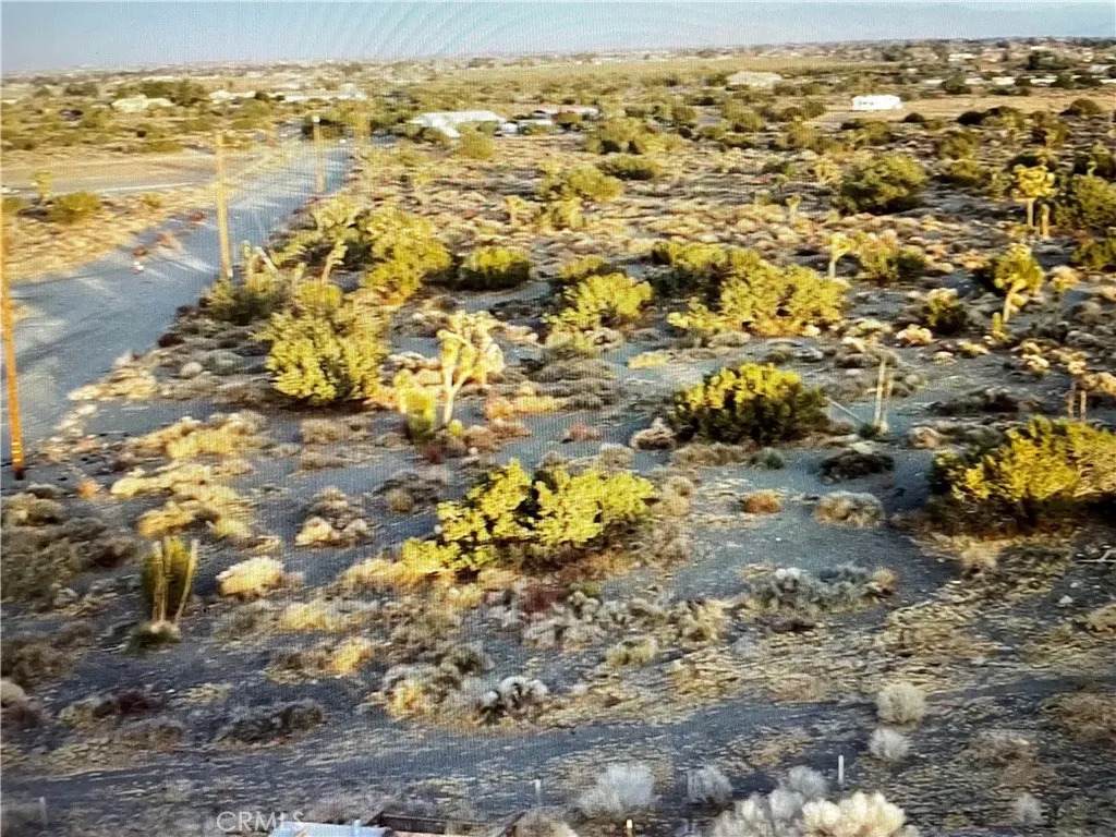 3123 Coyote - Photo 1