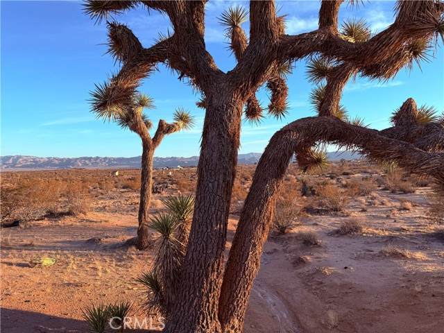 2700 Del Sol - Photo 1