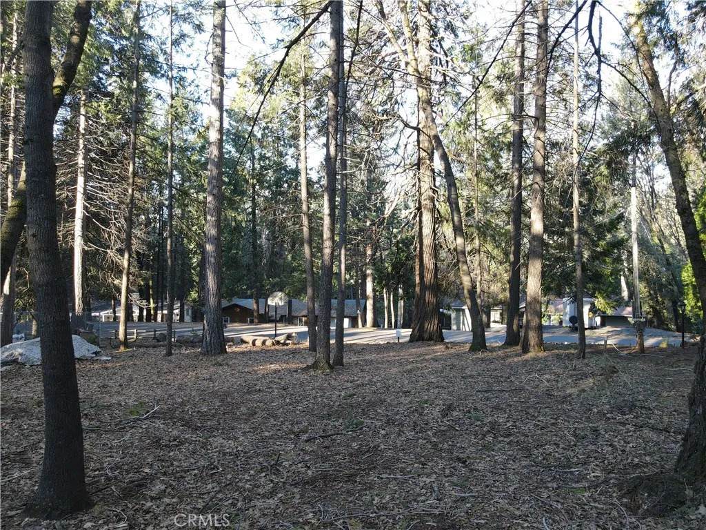 14595 Carnegie - Photo 1