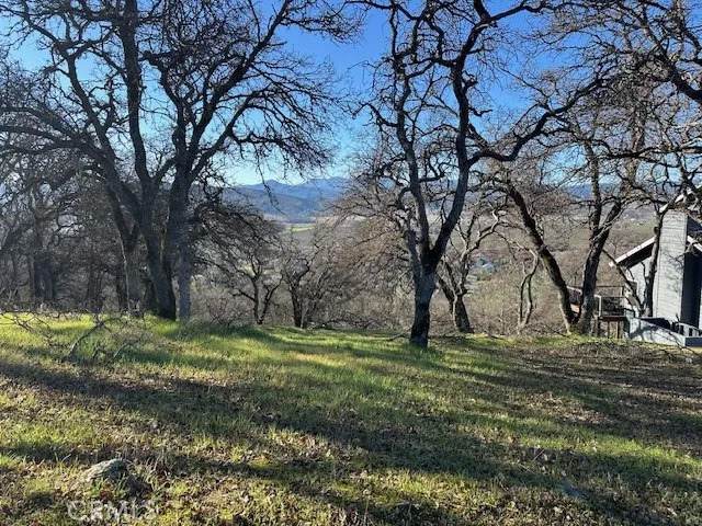 20860 Powder Horn - Photo 1