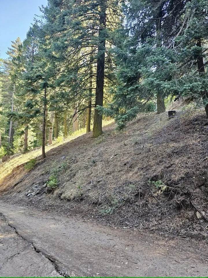 0 Mojave River - Photo 1