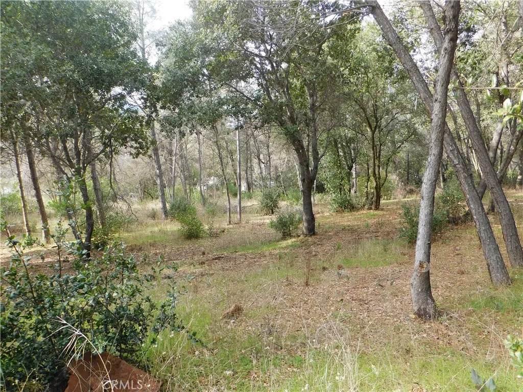 5834 Spruce - Photo 1