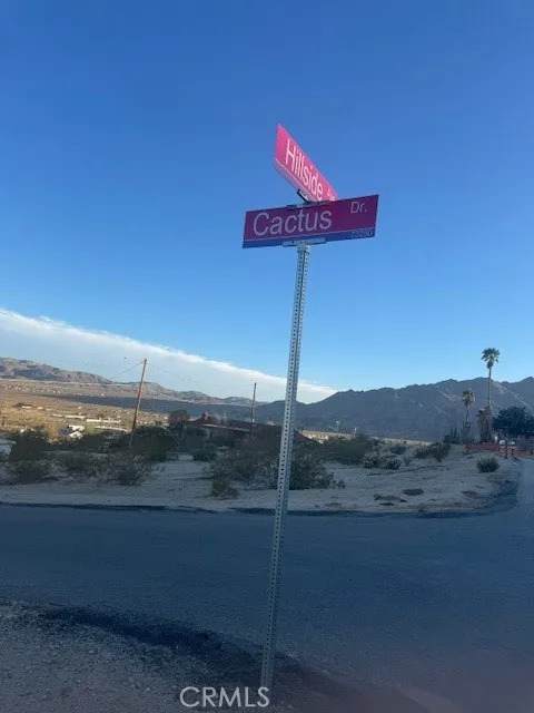 0 Cactus - Photo 1