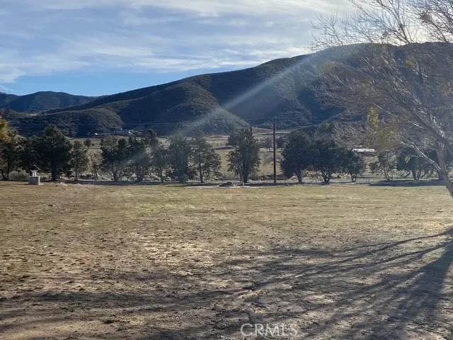 11039 Elizabeth Lake - Photo 1