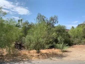 0 Lodge - Photo 1