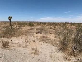 0 El Mirage - Photo 1