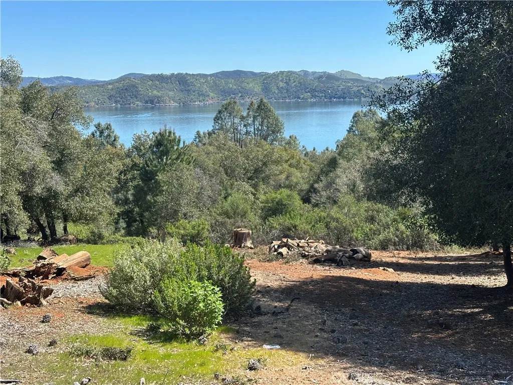 3648 Shoreline View - Photo 1