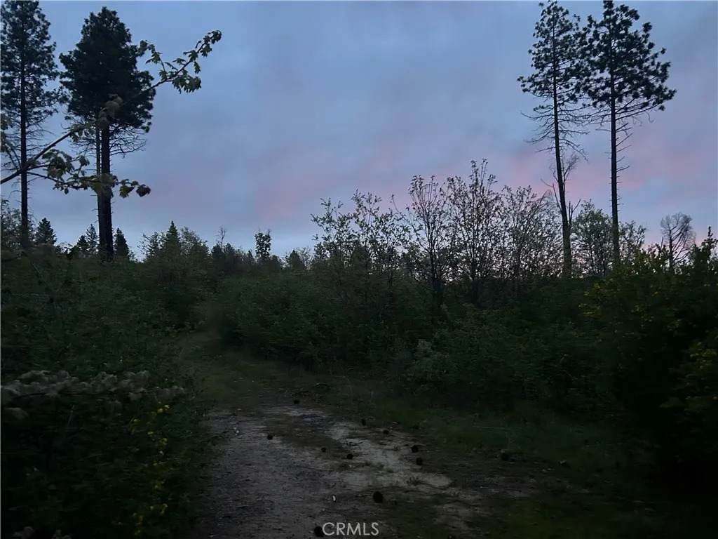 1 Hog Ranch - Photo 1
