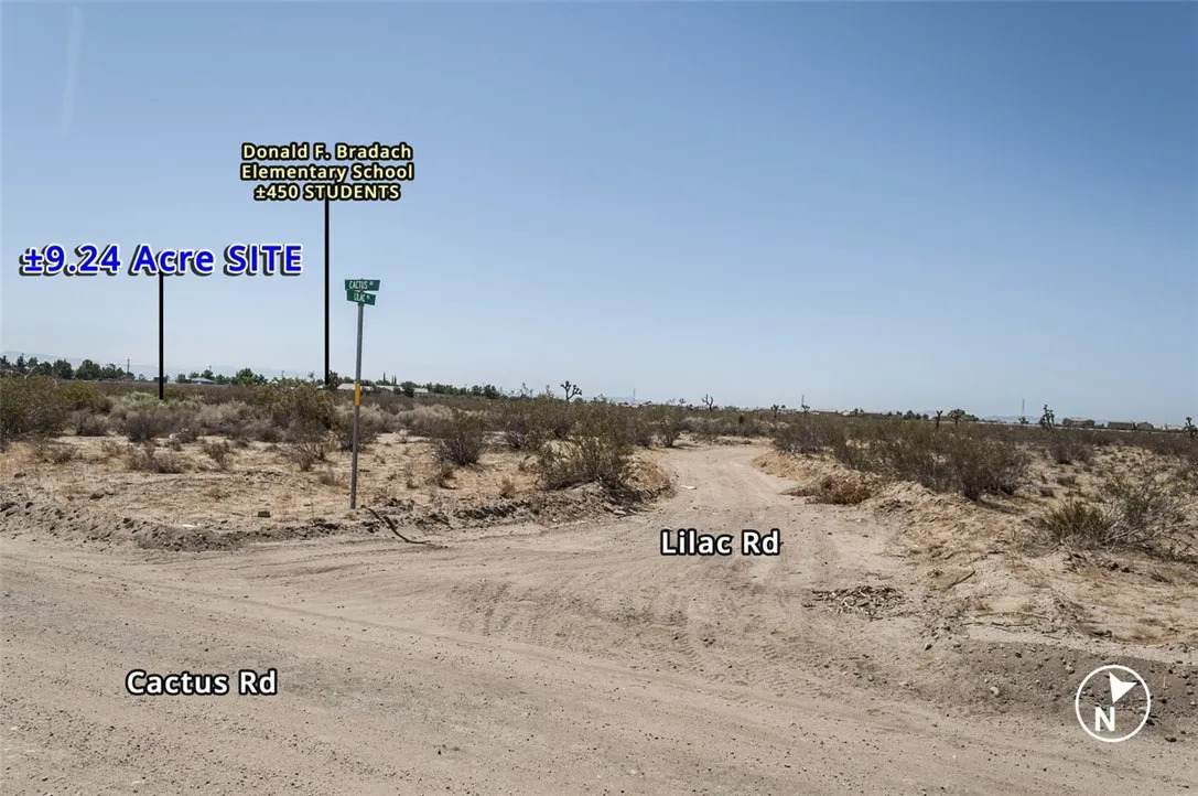 11143 Cactus - Photo 1