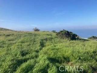 588 Chaney - Photo 1