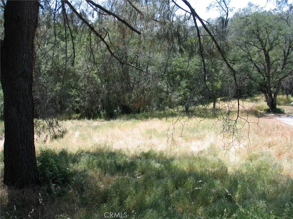 211 Lemon Hill - Photo 1