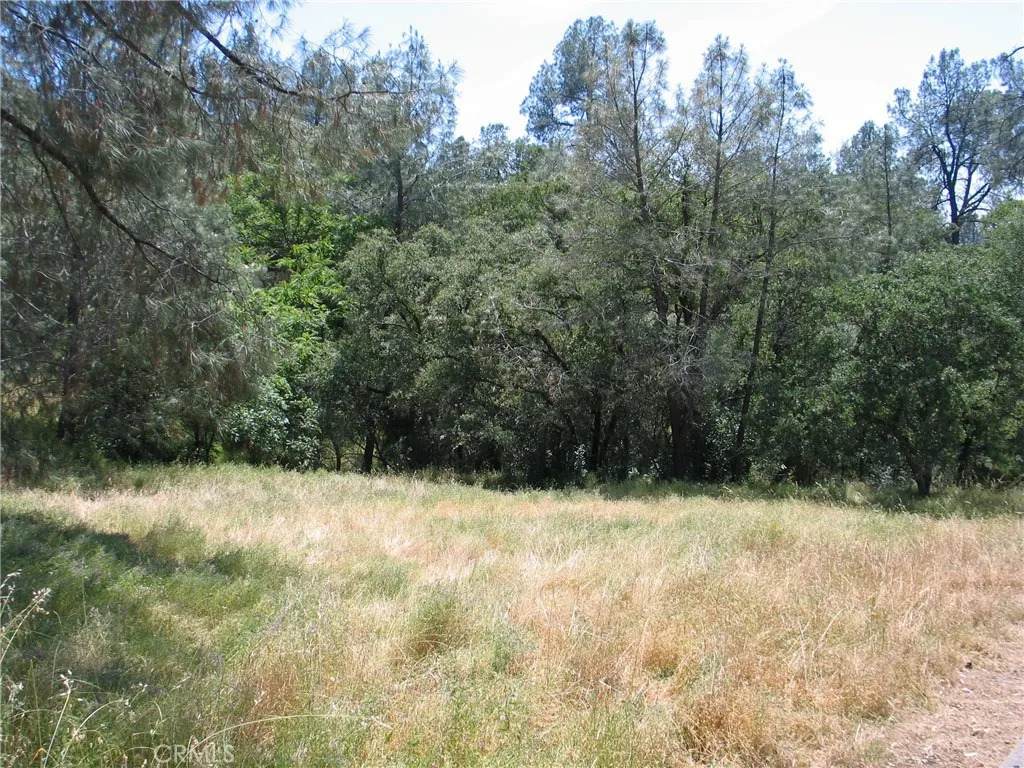 https://bt-photos.global.ssl.fastly.net/sandiego/orig_boomver_2_306436923-1.jpg