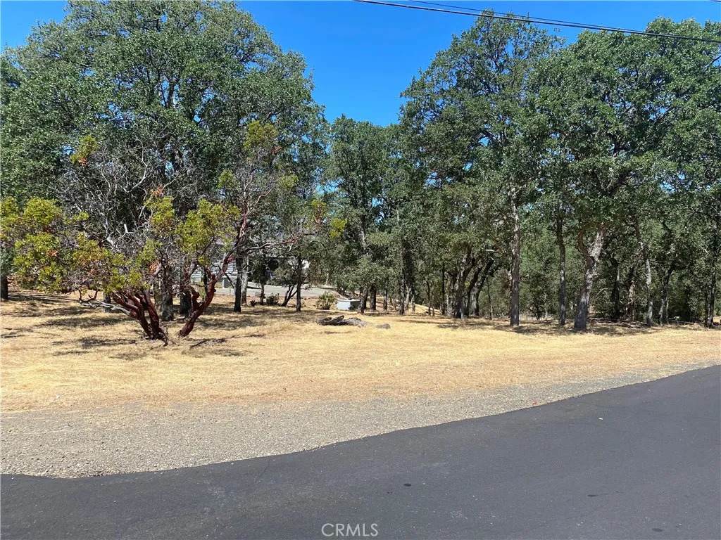 17902 Moon Hill - Photo 1