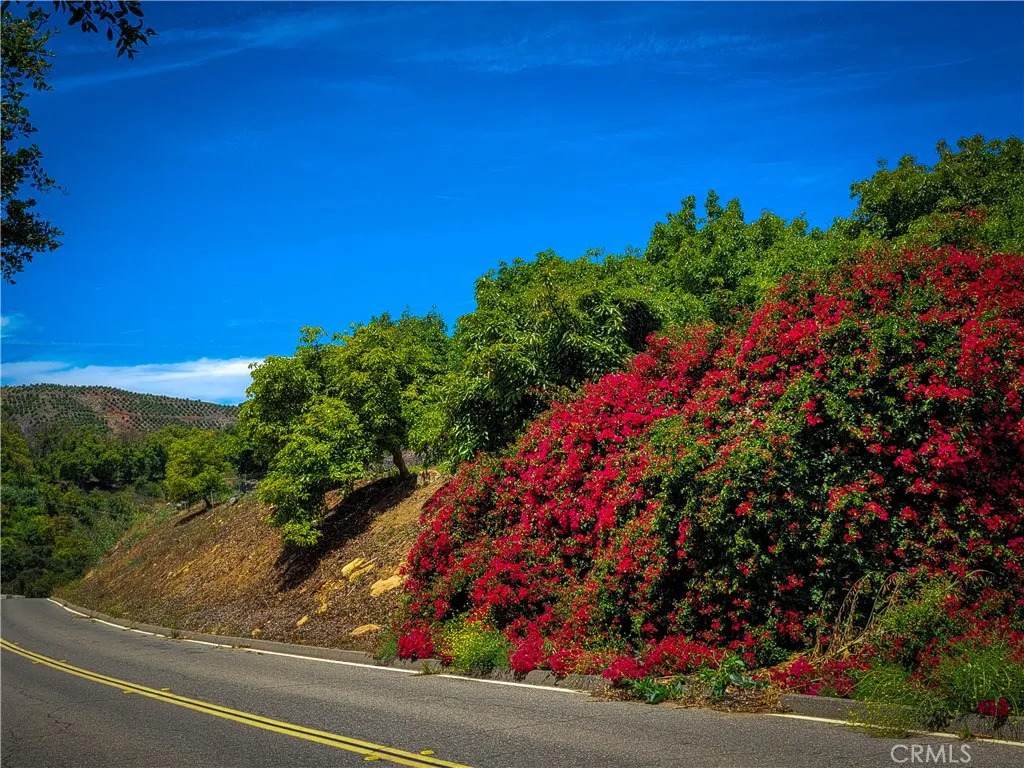 https://bt-photos.global.ssl.fastly.net/sandiego/orig_boomver_2_306469900-1.jpg