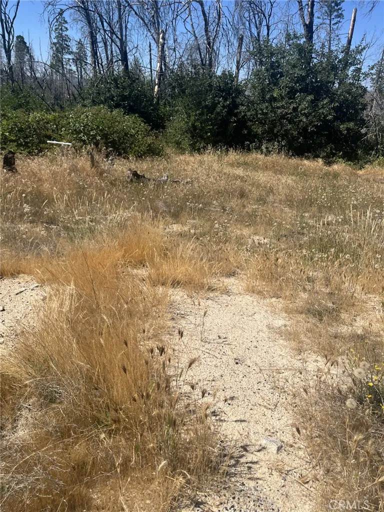 130 Simpson Ranch - Photo 1