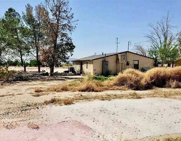 34774 Old Woman Springs Road - Photo 1