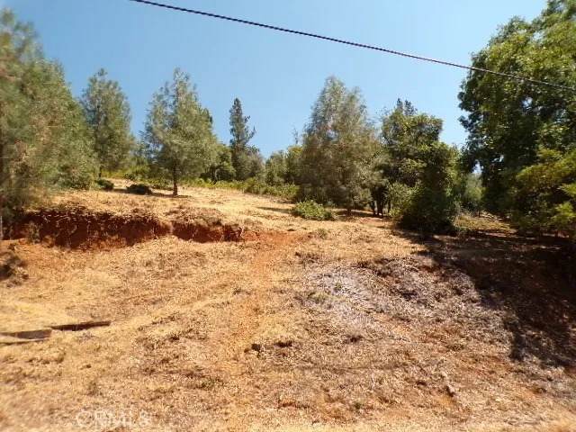 3122 Skyline - Photo 1