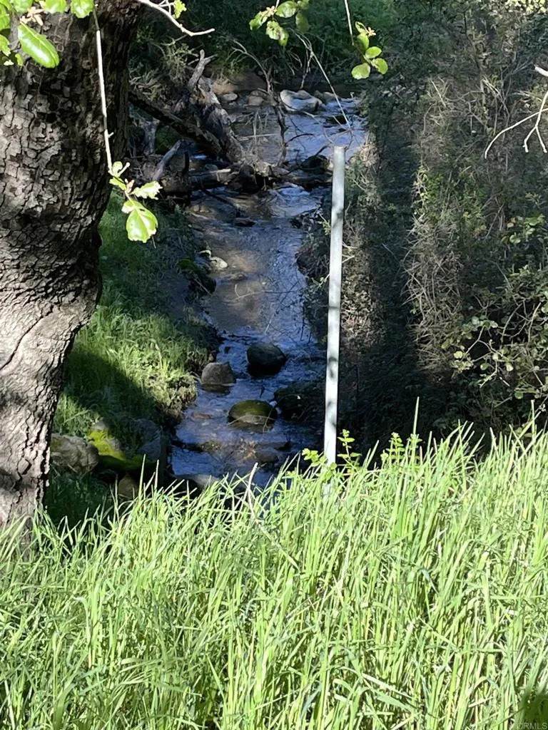 18868 Paradise Mountain - Photo 1