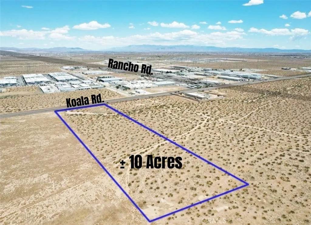 17374 Koala - Photo 1