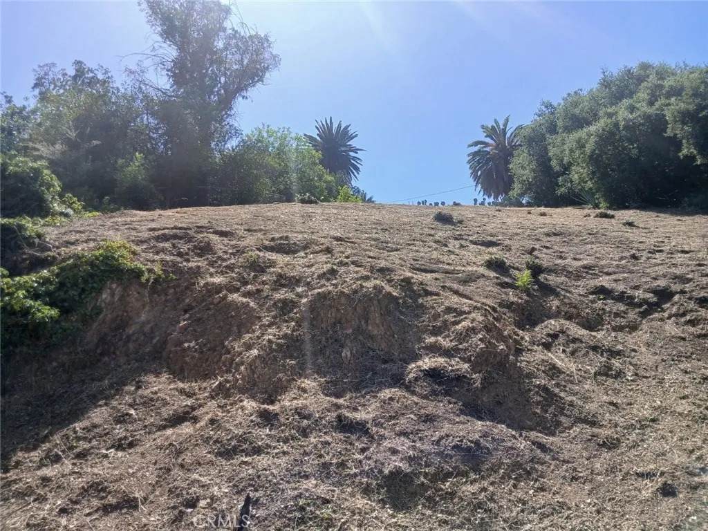 1087 Oneonta - Photo 1