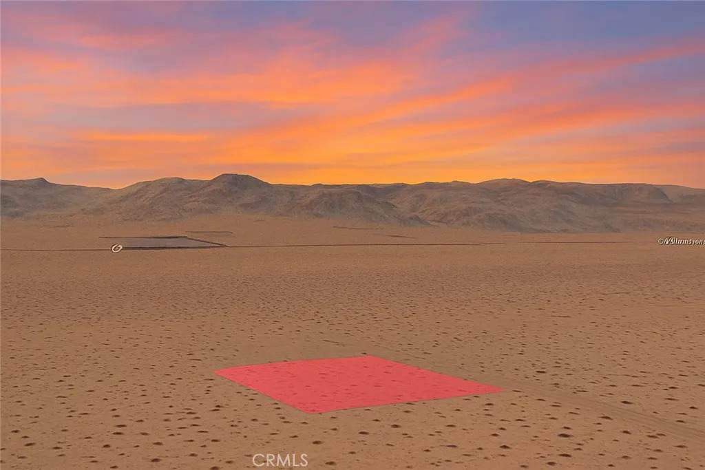 6050430 Joshua Tree - Photo 1