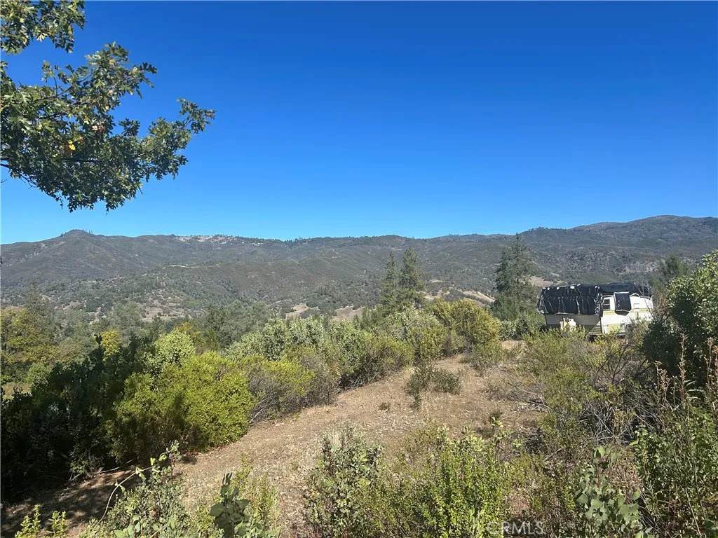 1725 Clover Valley - Photo 1