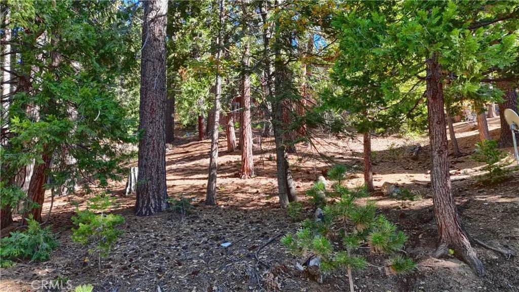7232 Yosemite Park - Photo 1
