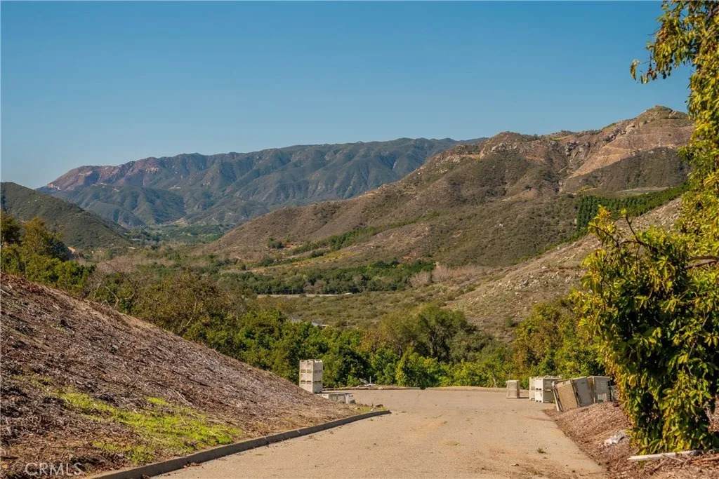 15 Camaron - Photo 1