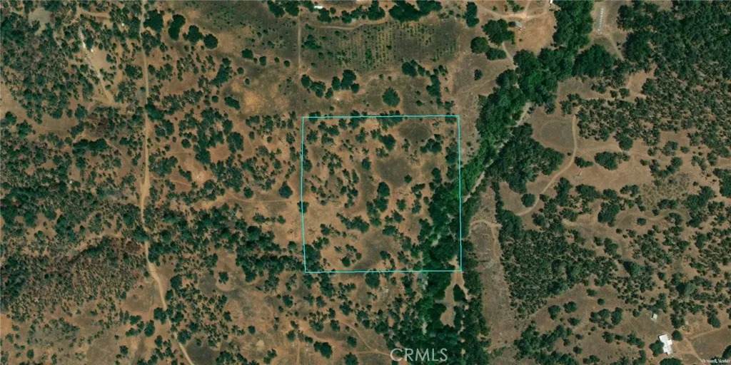 33089 Sycamore - Photo 1