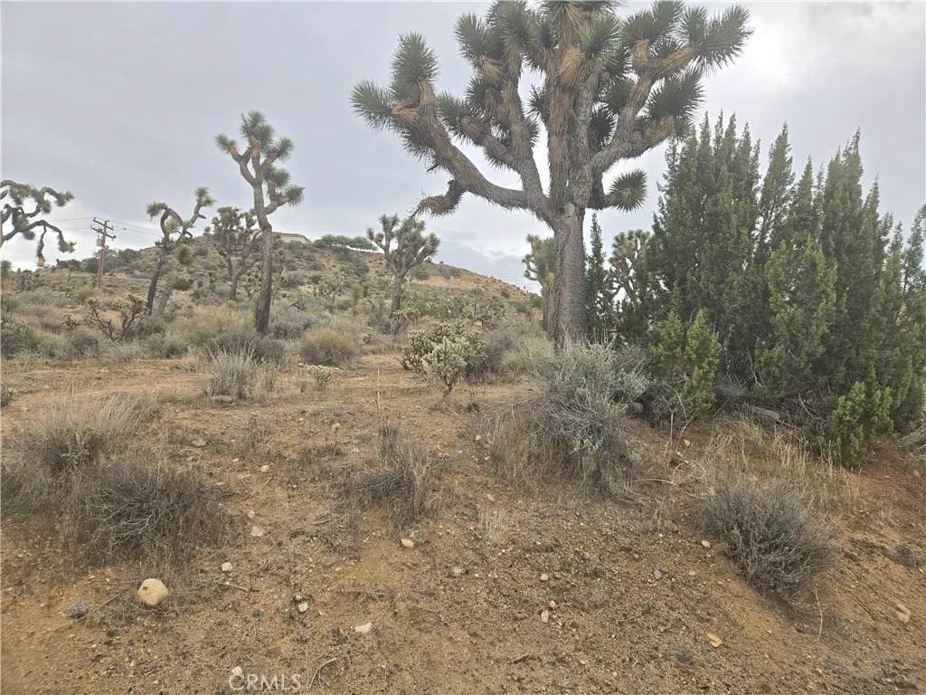54763 Twentynine Palms - Photo 1