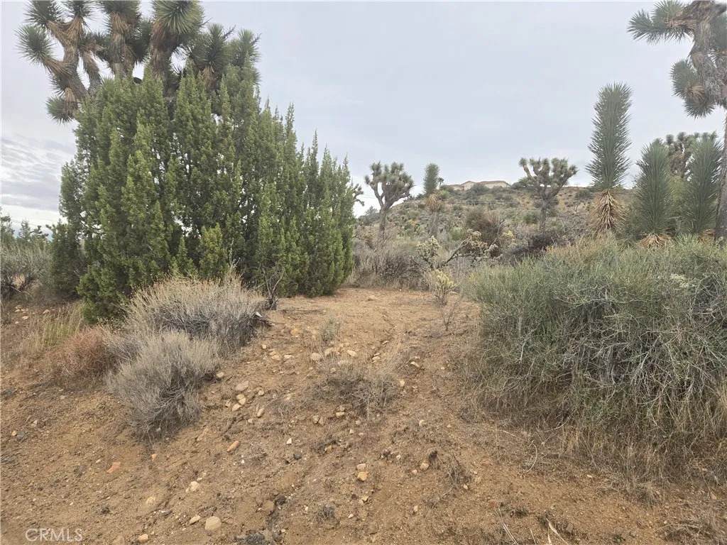 https://bt-photos.global.ssl.fastly.net/sandiego/orig_boomver_2_306588812-1.jpg