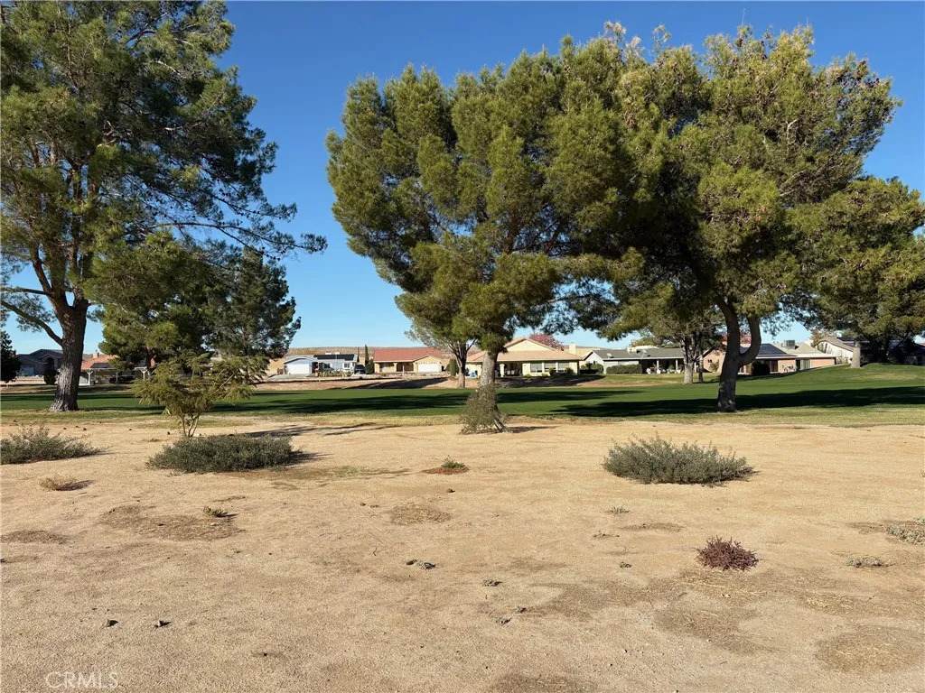 15114 Blue Grass - Photo 1