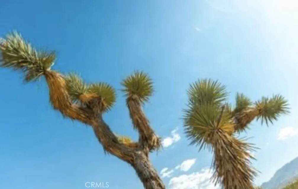 https://bt-photos.global.ssl.fastly.net/sandiego/orig_boomver_2_306592165-1.jpg