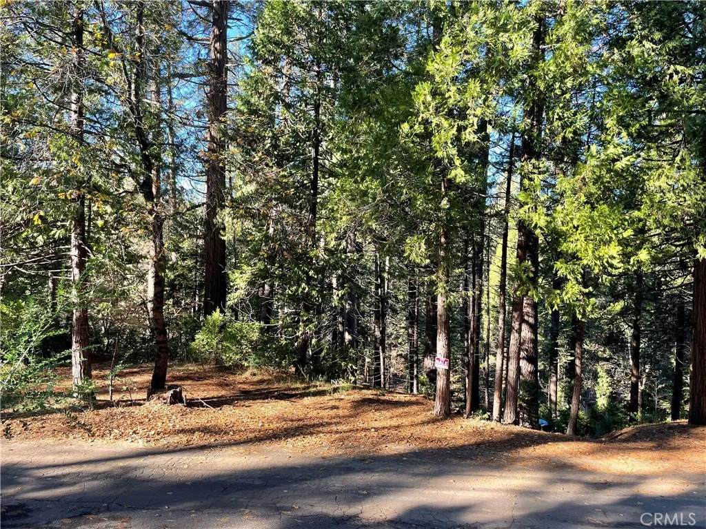 22447 Ponderosa - Photo 1