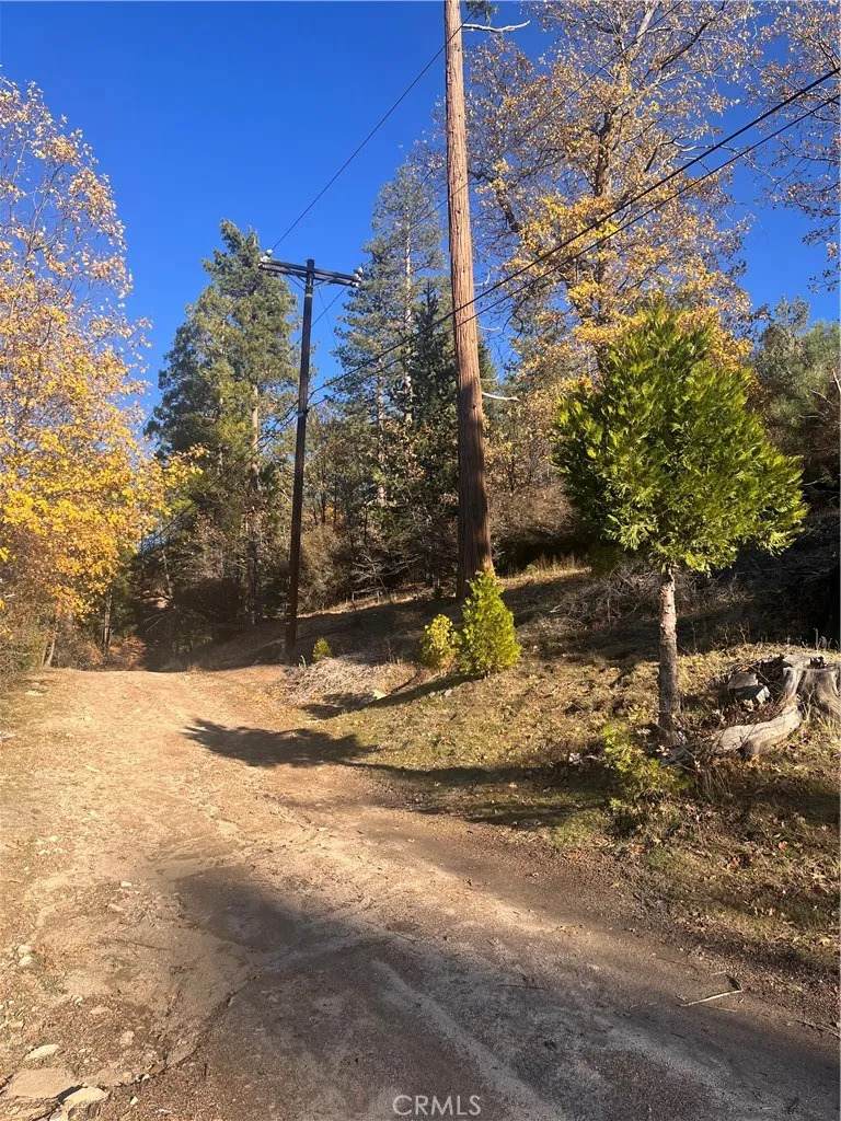 29834 Juniper - Photo 1