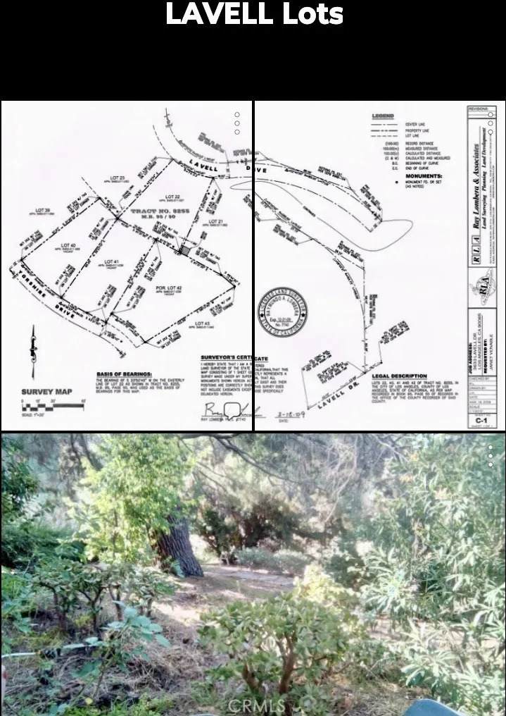 3633 Lavell Drive - Photo 1