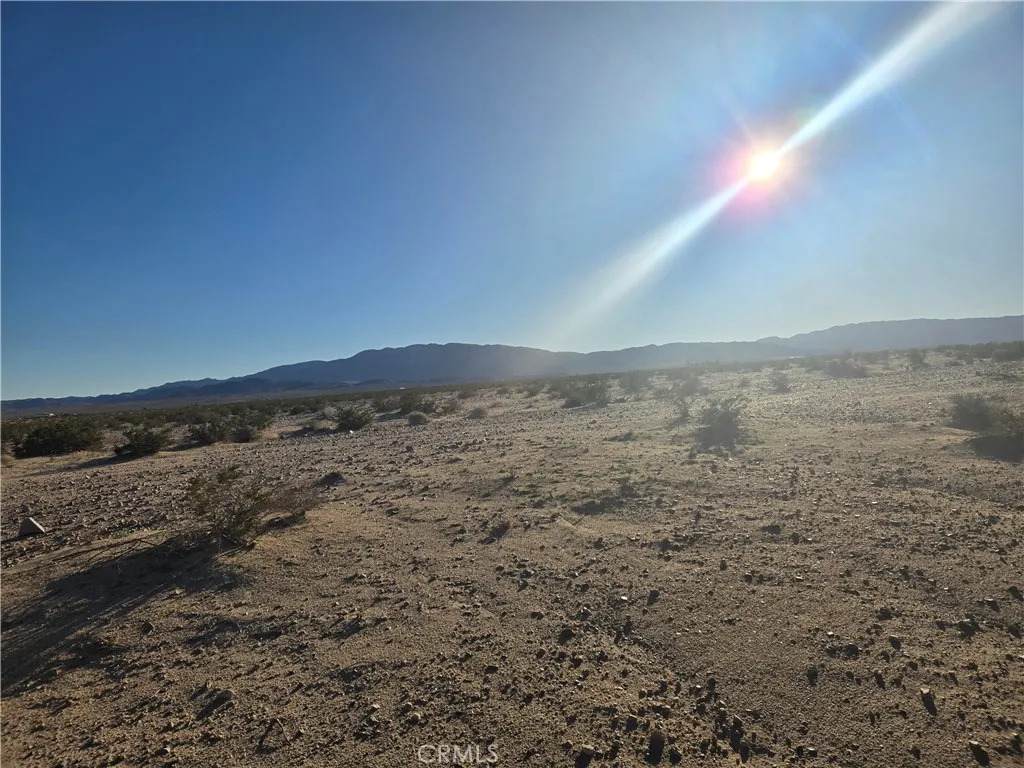 1234 Amboy - Photo 1