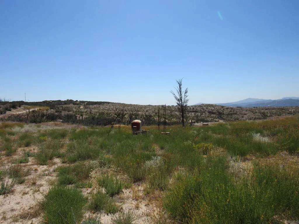 34679 Old Hwy 80 - Photo 1
