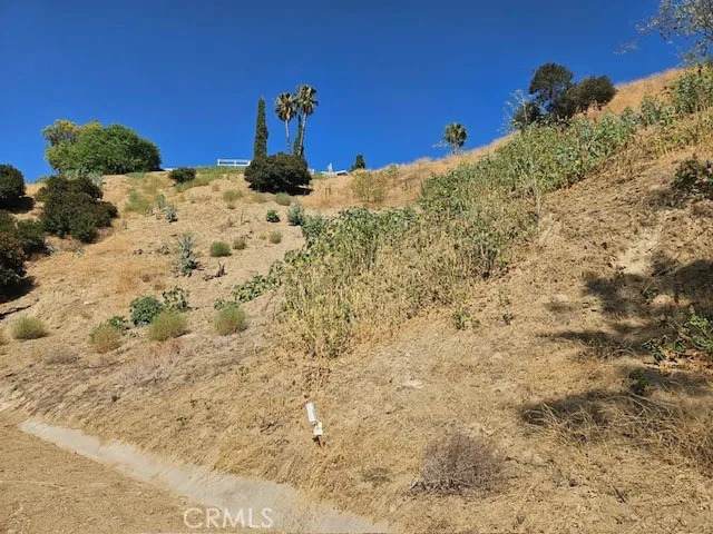 4320 San Blas Ave - Photo 1