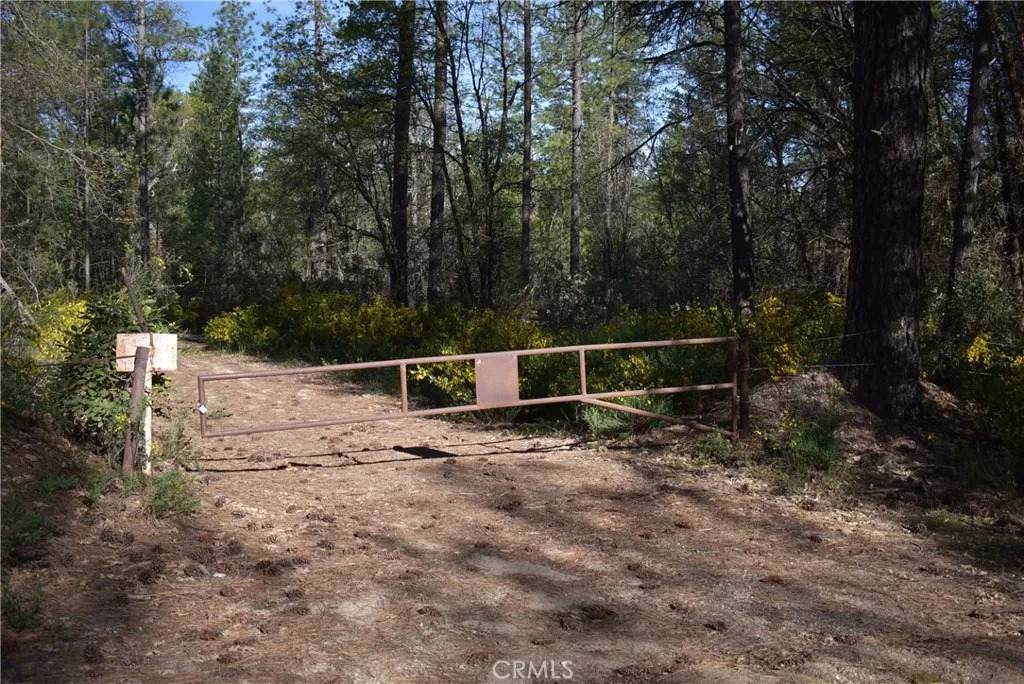 14550 Grizzly Hill - Photo 1