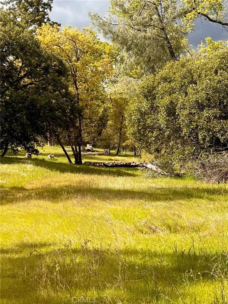 4959 Sierra Pines - Photo 1