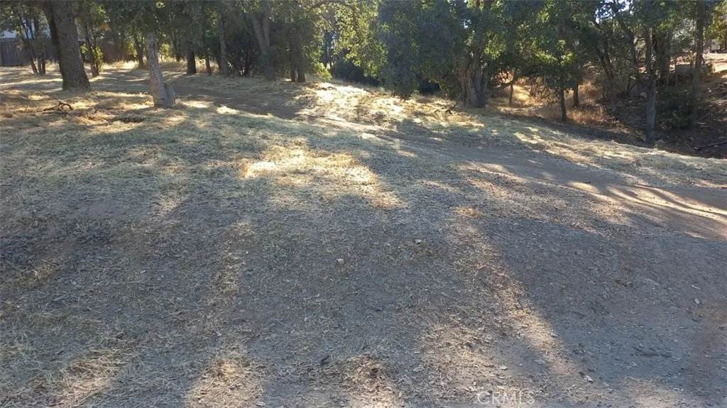 3882 Pine - Photo 1