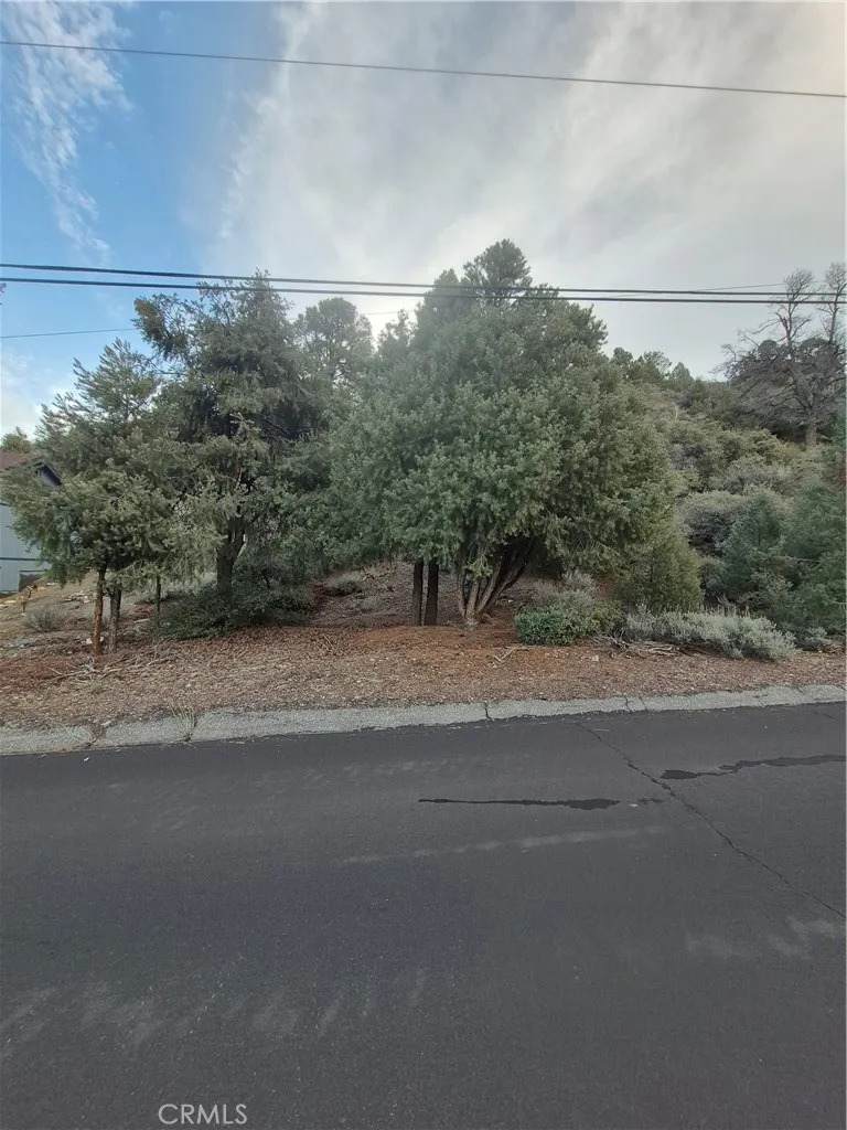 2024 Woodland Drive - Photo 1
