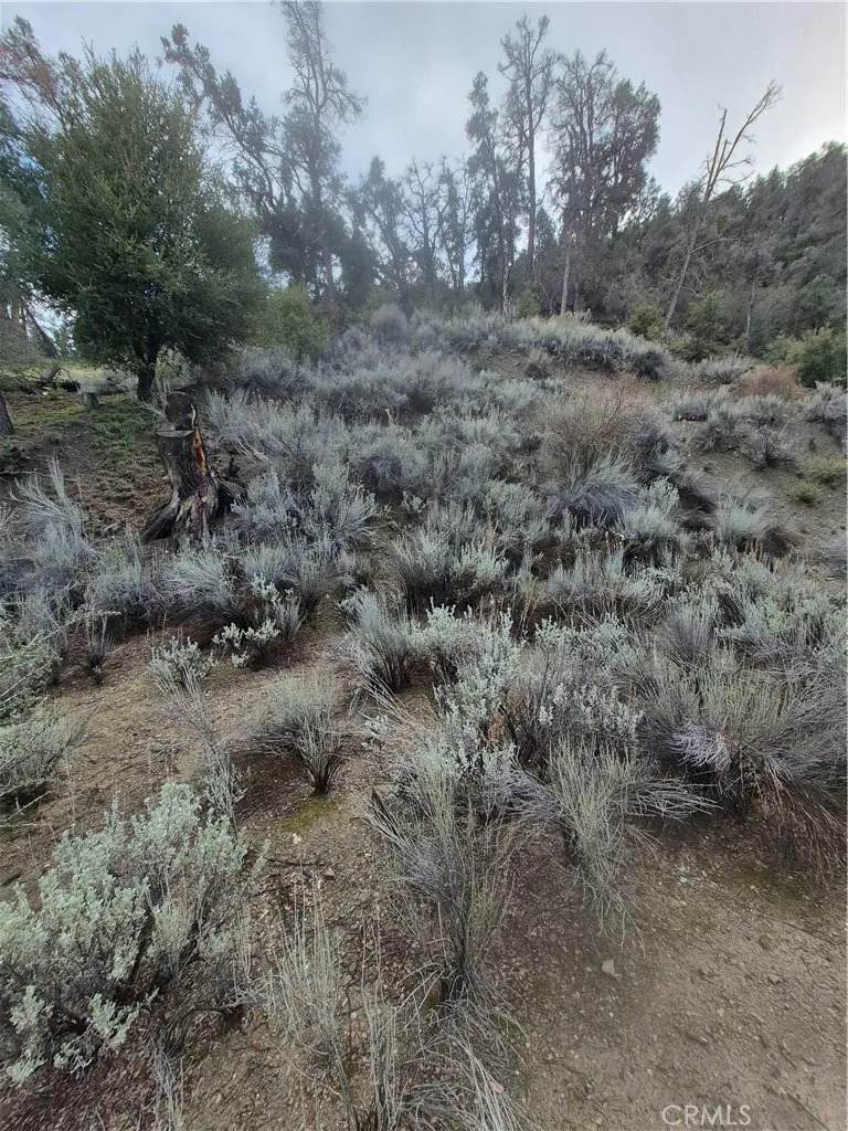 15532 San Moritz - Photo 1
