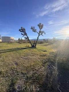 https://bt-photos.global.ssl.fastly.net/sandiego/orig_boomver_2_306618213-1.jpg