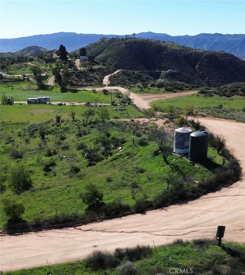 17655 Snake - Photo 1