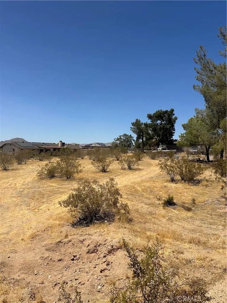 16962 Waalew - Photo 1