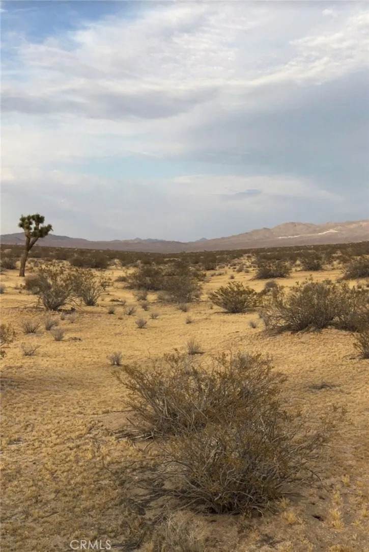 https://bt-photos.global.ssl.fastly.net/sandiego/orig_boomver_2_306625852-1.jpg